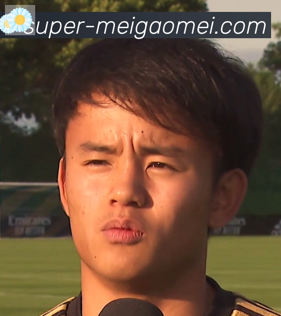 维尼修斯